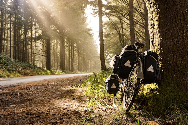 A bike in an Oregon sunbeam.